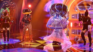 Girl-Power! Der Feuersalamander und die Qualle mit "It's Raining Men"