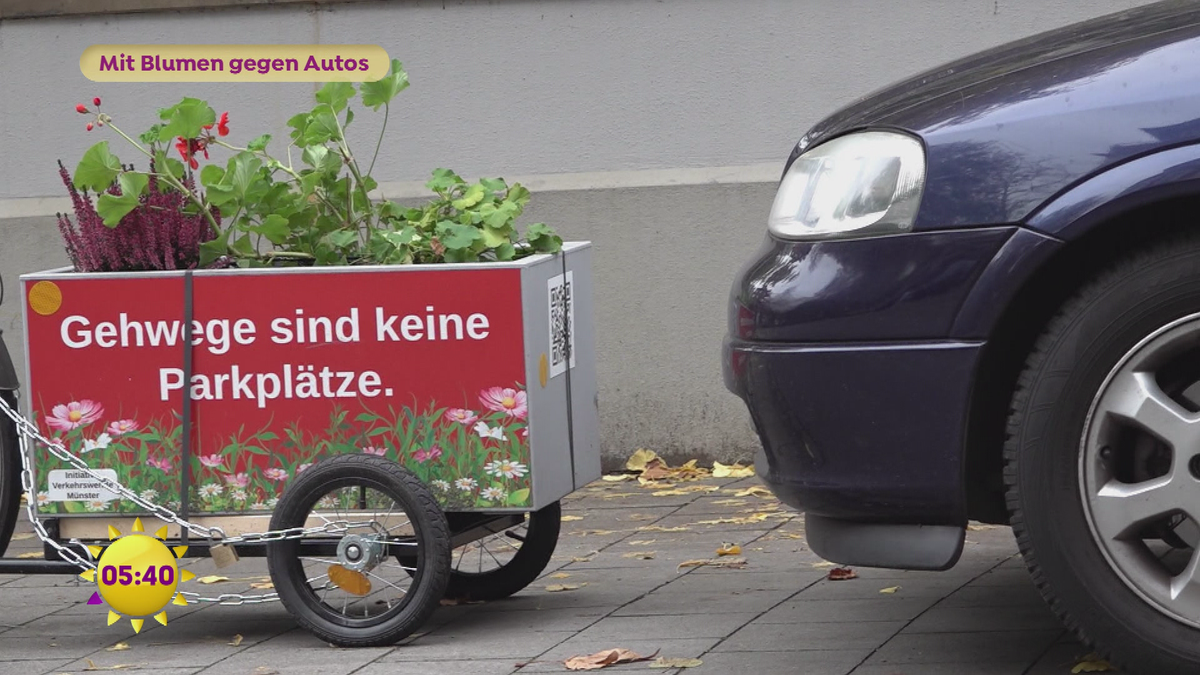 Mit Blumen gegen Autos