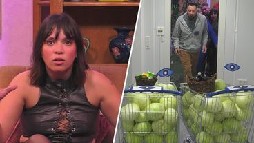 Container-Horror, karge Kohl-Kost und Janine Pink als Promi-Gast