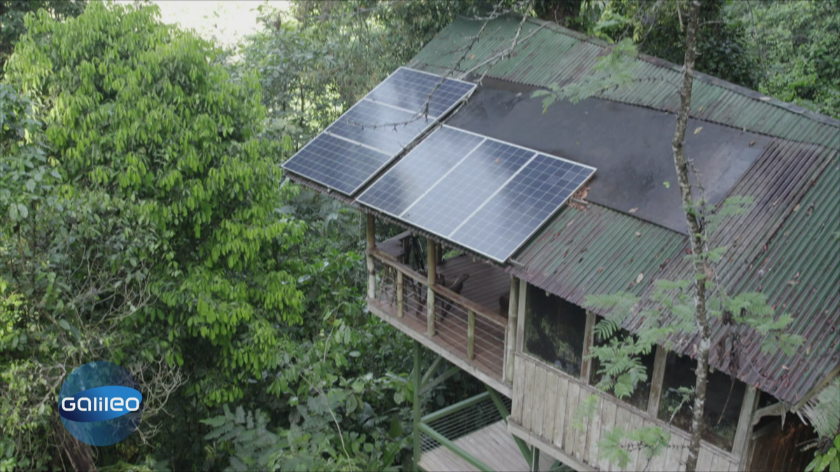 Im Einklang mit der Natur: Leben im Baumhausdorf in Costa Rica