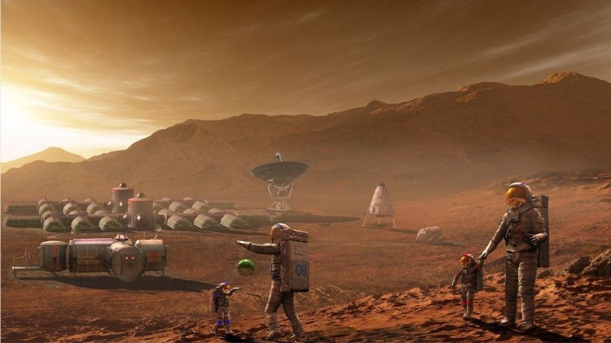 Einfach nur irre: Forscher plant "Leichengarten" auf dem Mars