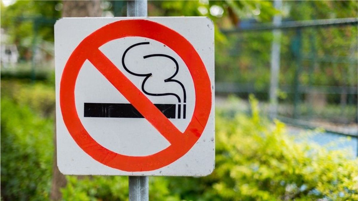 Vorbild Schweden: FDP fordert ein härteres Rauchverbot