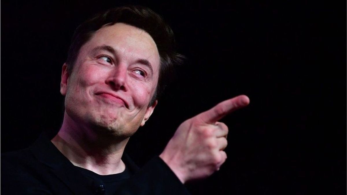 Twitter-Chef Musk will Job hinschmeißen - unter einer Bedingung