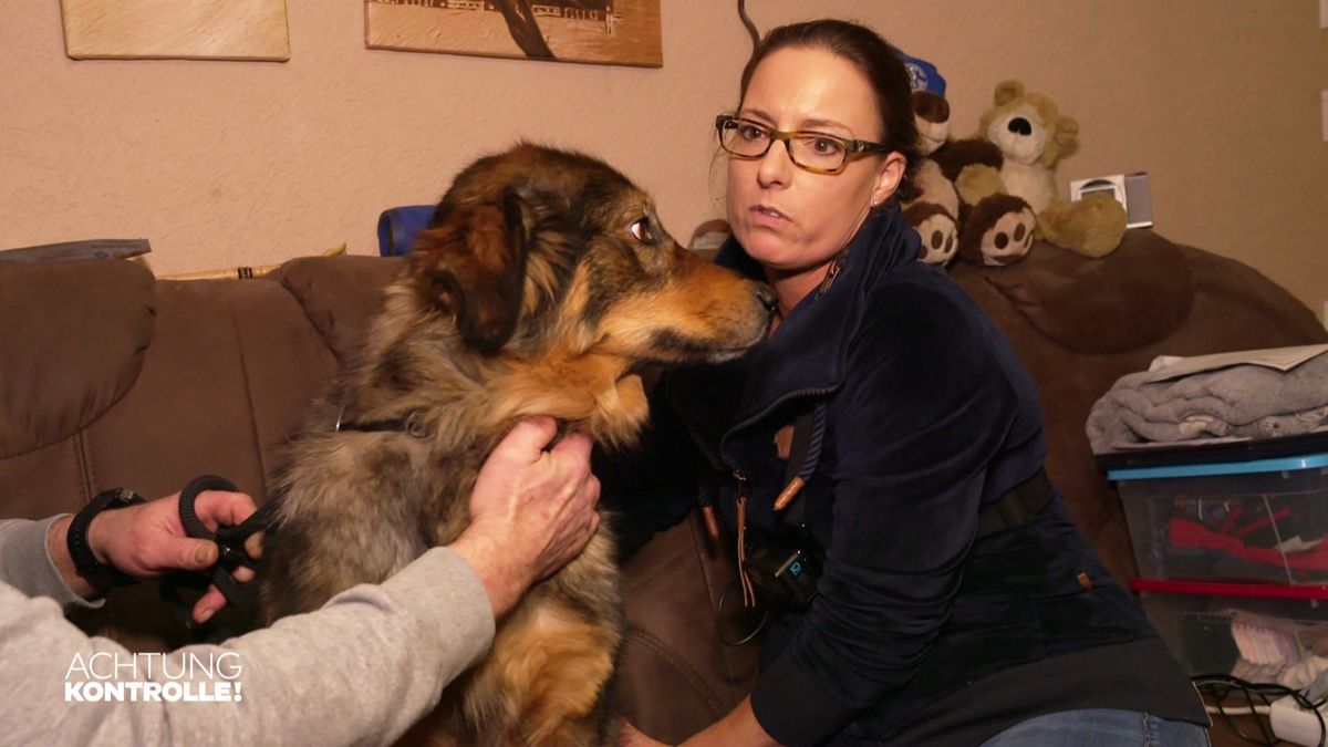 Mit Tierärztin Kathrin Wontorra auf Hausbesuch