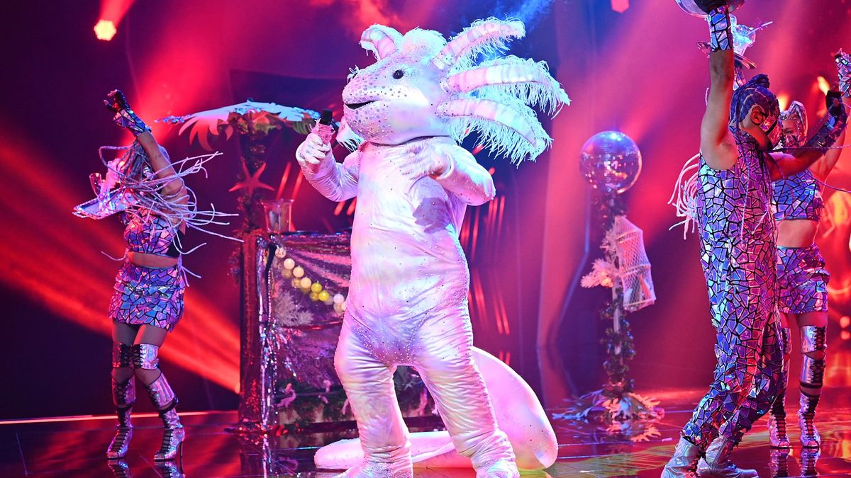 The Masked Singer