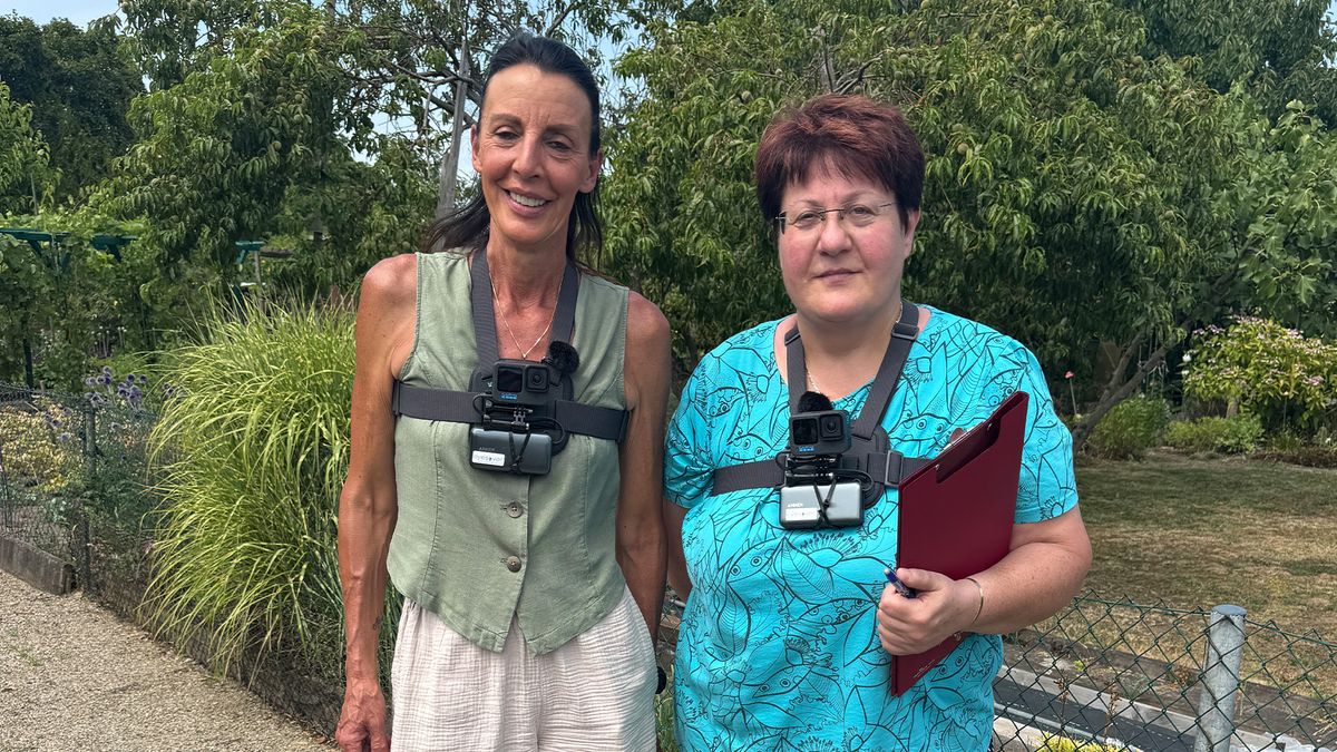 Thema u.a.: Kontrolltag im Frankfurter Gartenverein „Gutleut“