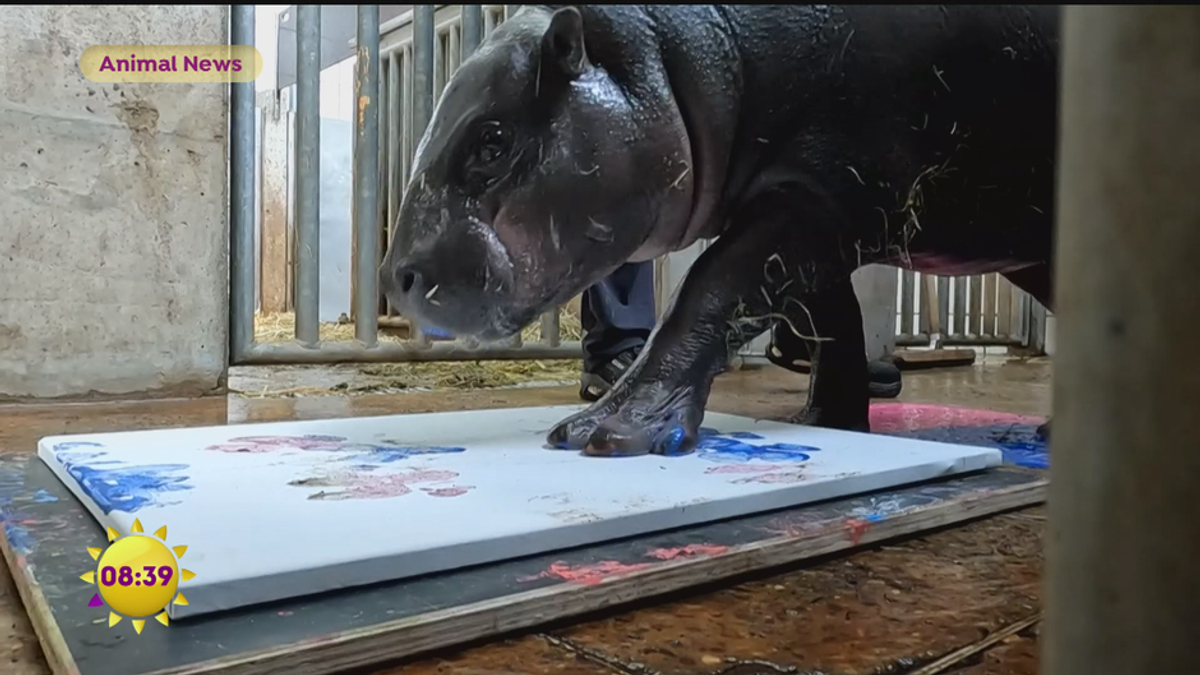 Animal News vom 12.5.2025