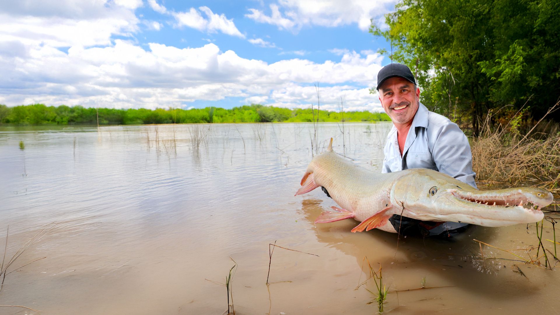 Giganten unter Wasser - Riesenfischen auf der Spur