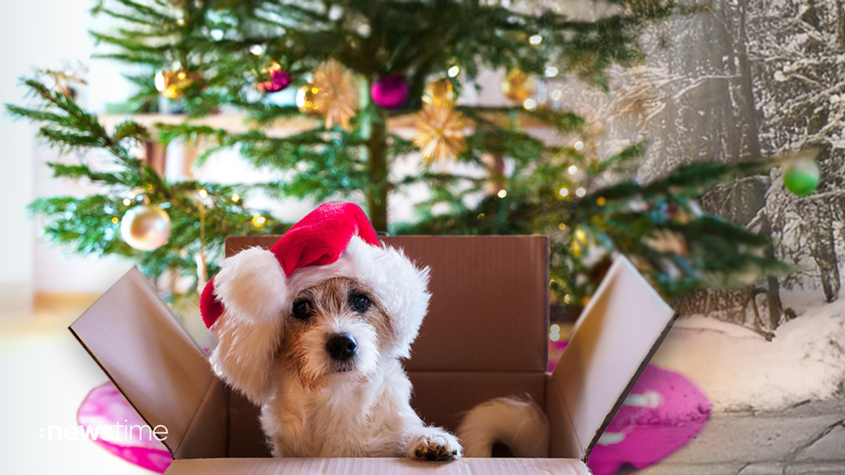 Keine Tiere als Weihnachtsgeschenk