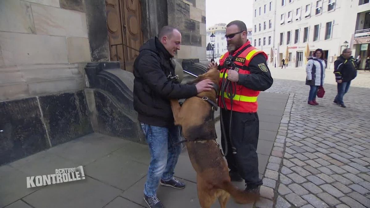 Achtung Kontrolle! Einsatz für die Ordnungshüter