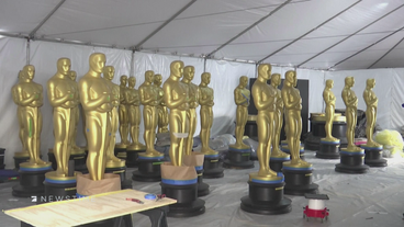 Begehrteste Filmtrophäe: Der Oscar-Countdown läuft