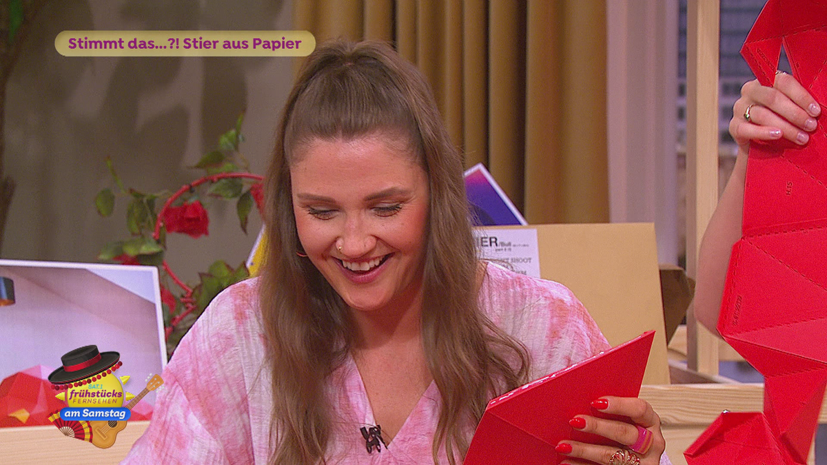 Stimmt das …?! Stier aus Papier