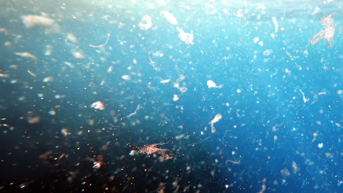 Hightech-Gel soll Mikroplastik aufspüren