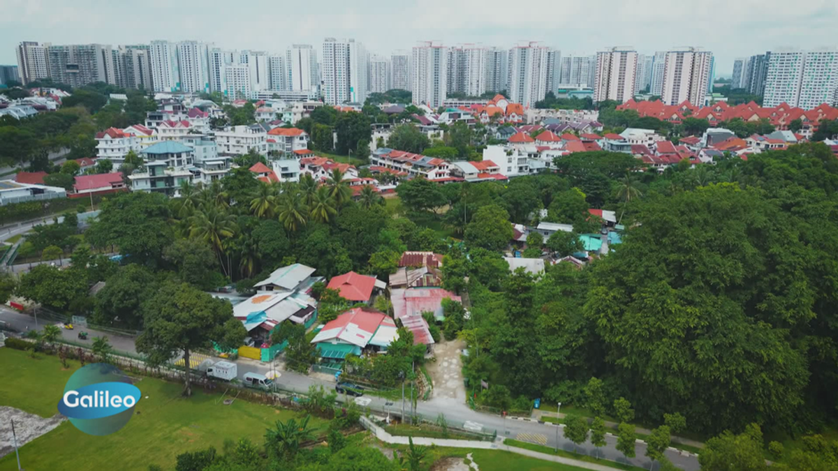 Zwischen Hochhäusern und Luxus-Villen: Singapurs letztes traditionelles Dorf