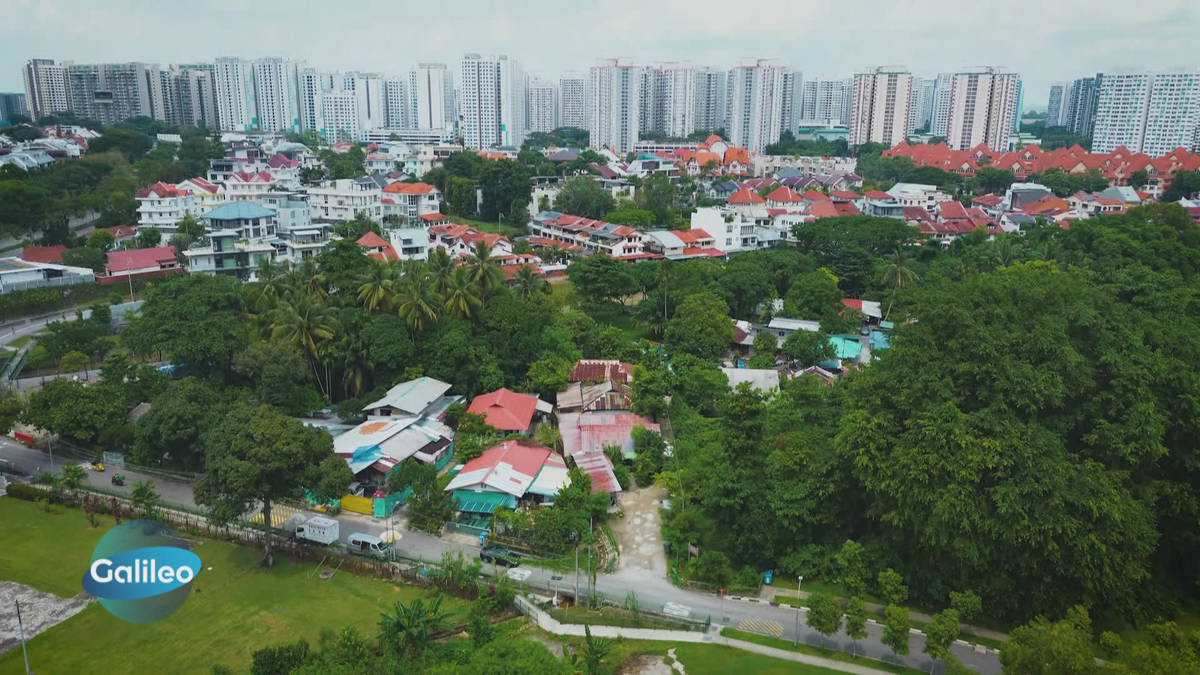 Zwischen Hochhäusern und Luxus-Villen: Singapurs letztes traditionelles Dorf