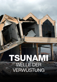 Tsunami - Welle der Verwüstung