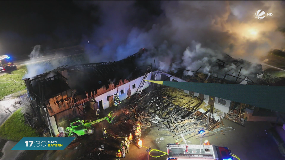 Brand auf Bauernhof in Steiningloh: 60 Rinder sterben bei Stallbrand