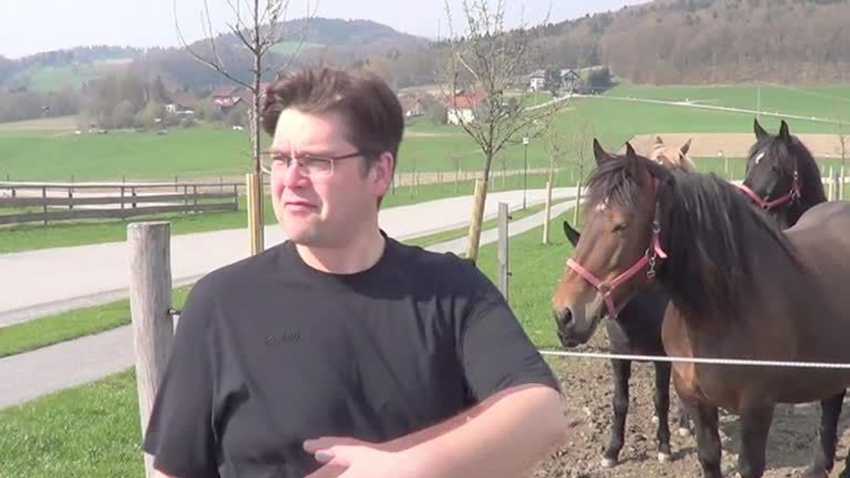 Web-Kandidaten 22.04.2013