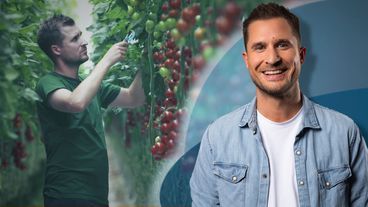 Der Food-Code unserer Lebensmittel: Tomate, Parmesan und Pommes