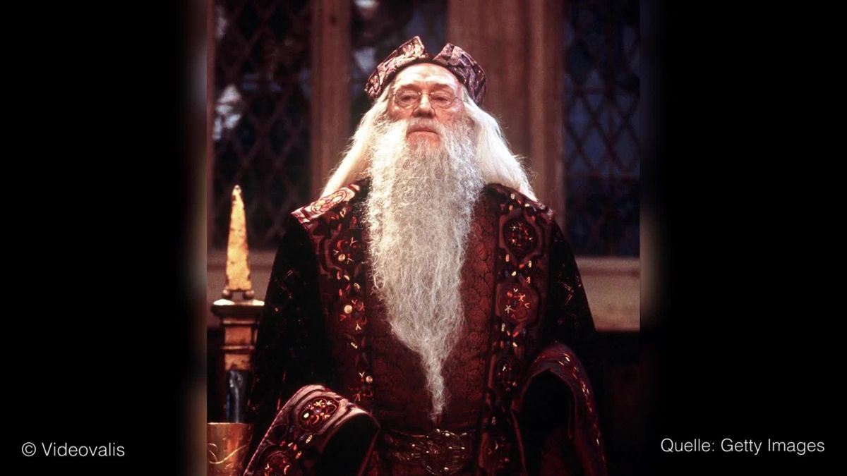 Dumbledore in jung! Dieser Star ergattert die begehrte Rolle