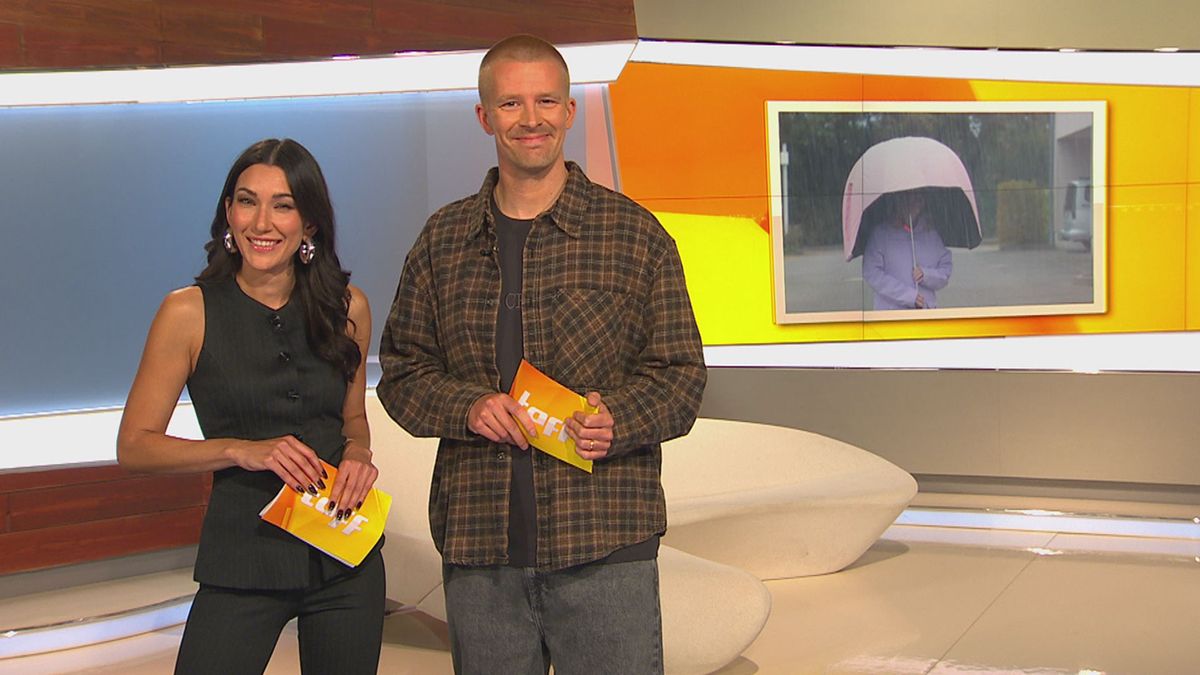 Regenschirme im Test: Welches Modell hält wirklich trocken?