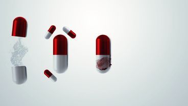 Der rote Gürtel