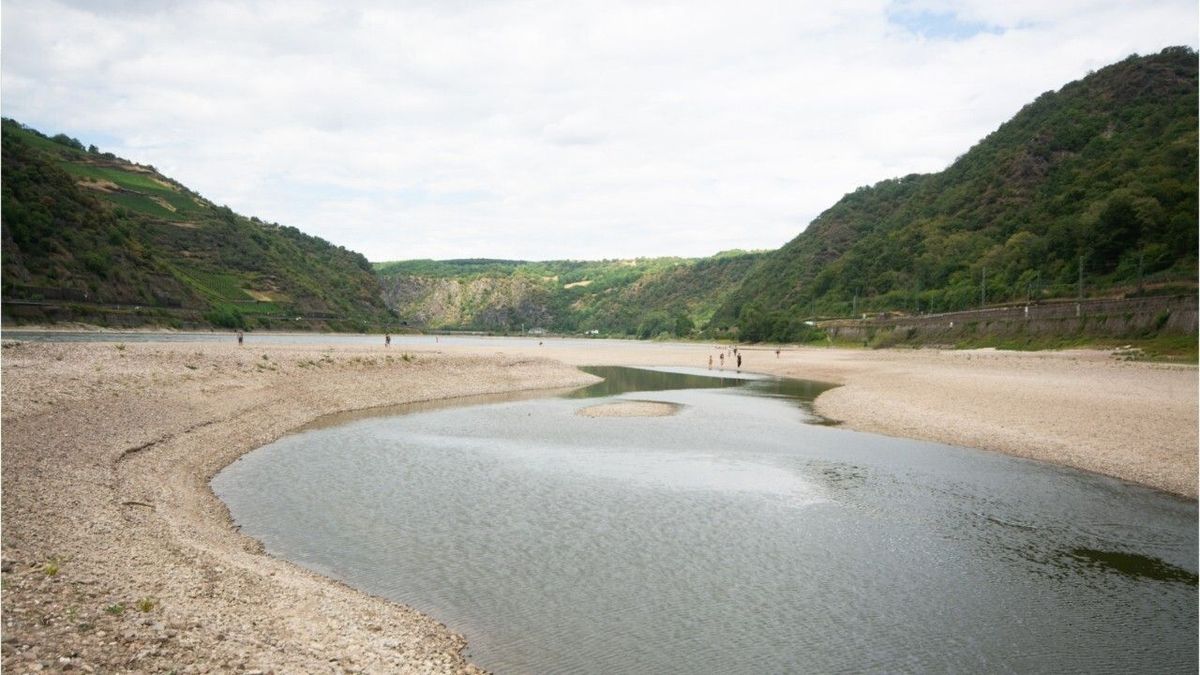 Wasserstände sinken: Trocknen in Deutschland die Flüsse aus?