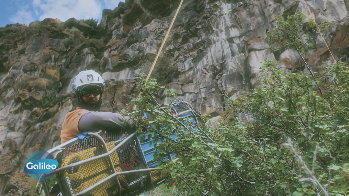 Die Retter - Der Fall des Snake River Canyons