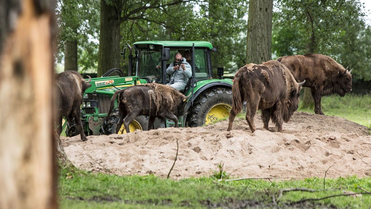 Achtung Kontrolle! Einsatz für die Ordnungshüter