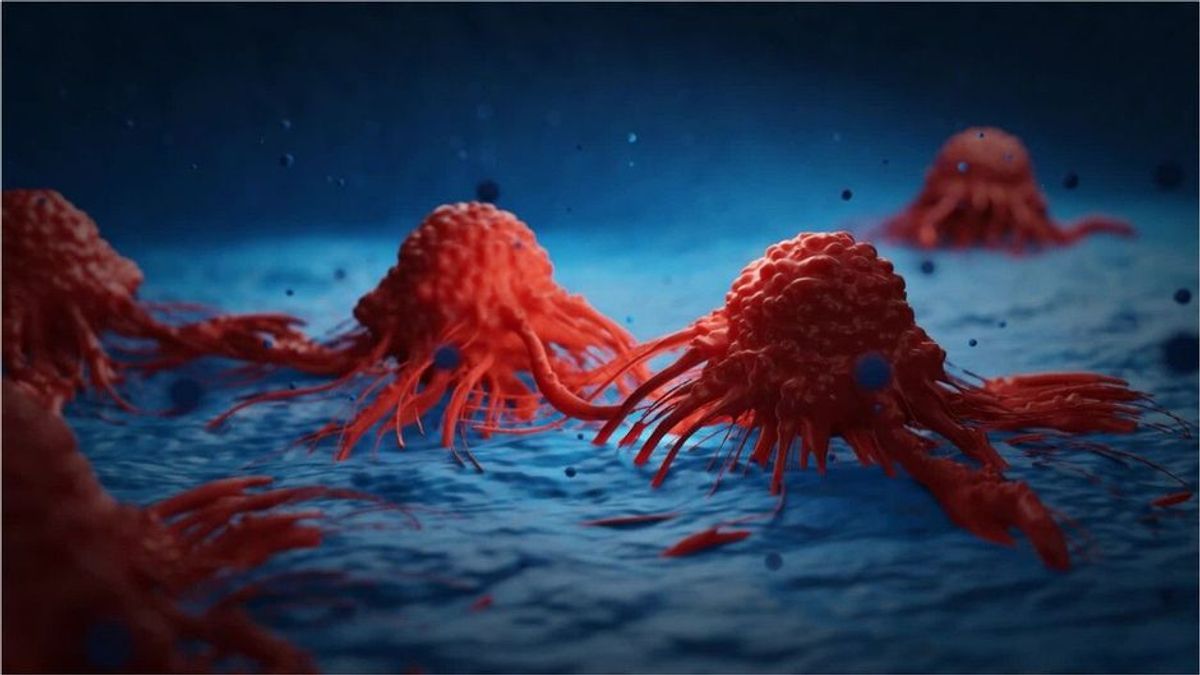 Neuer Ansatz bei Therapie: Kölner Forschern gelingt Durchbruch im Kampf gegen Krebs