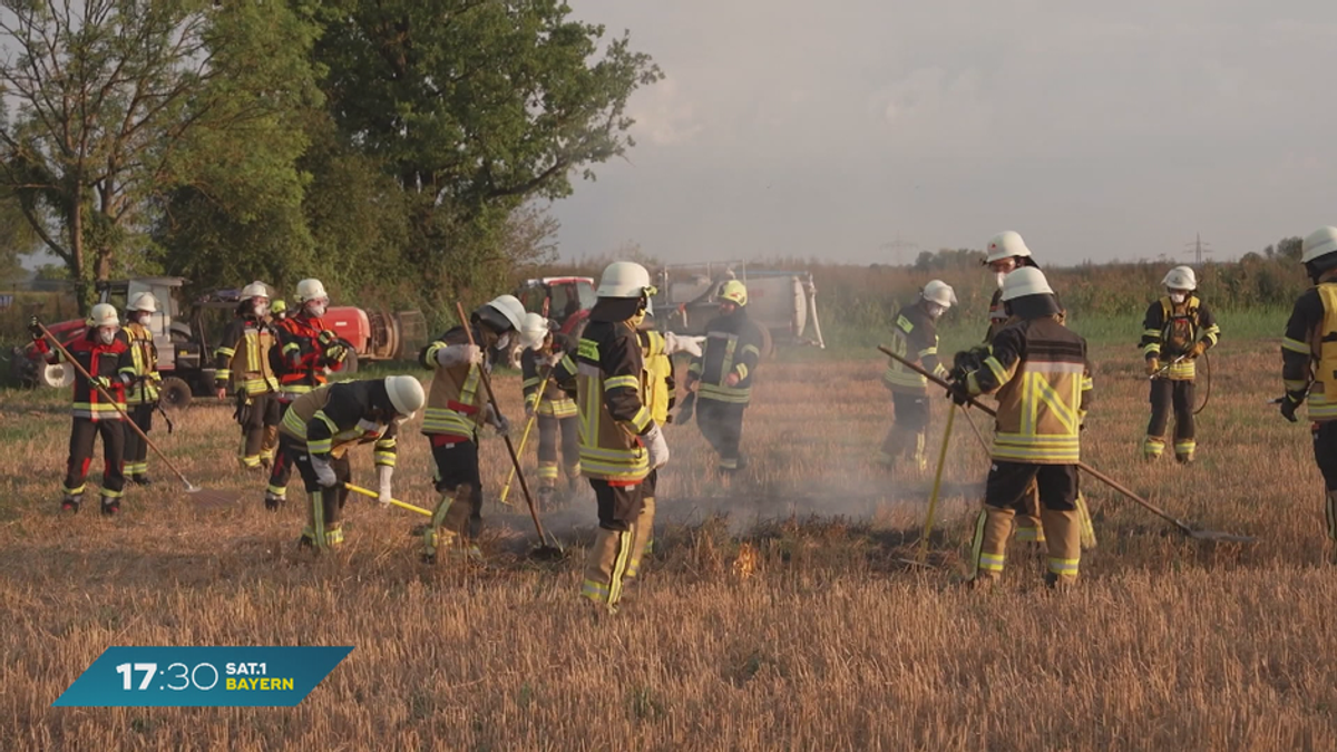 Hitze in Bayern: Feuerwehr trainiert für häufigere Waldbrände