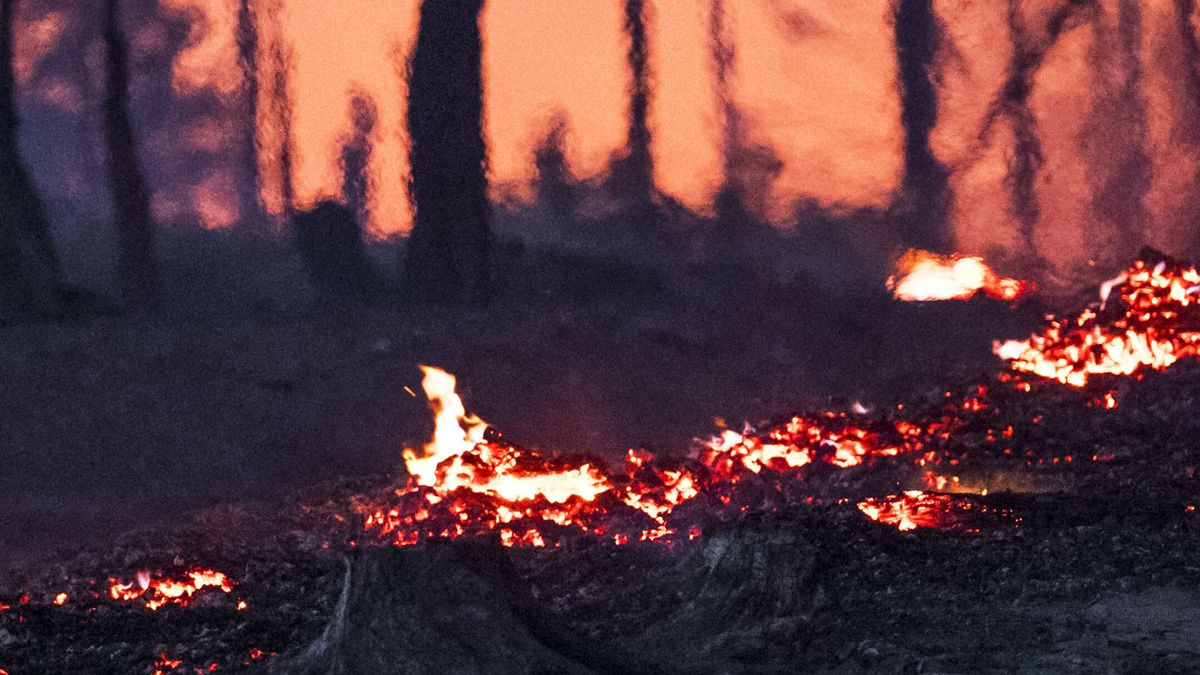 Großschadenslage: Waldbrände im Osten