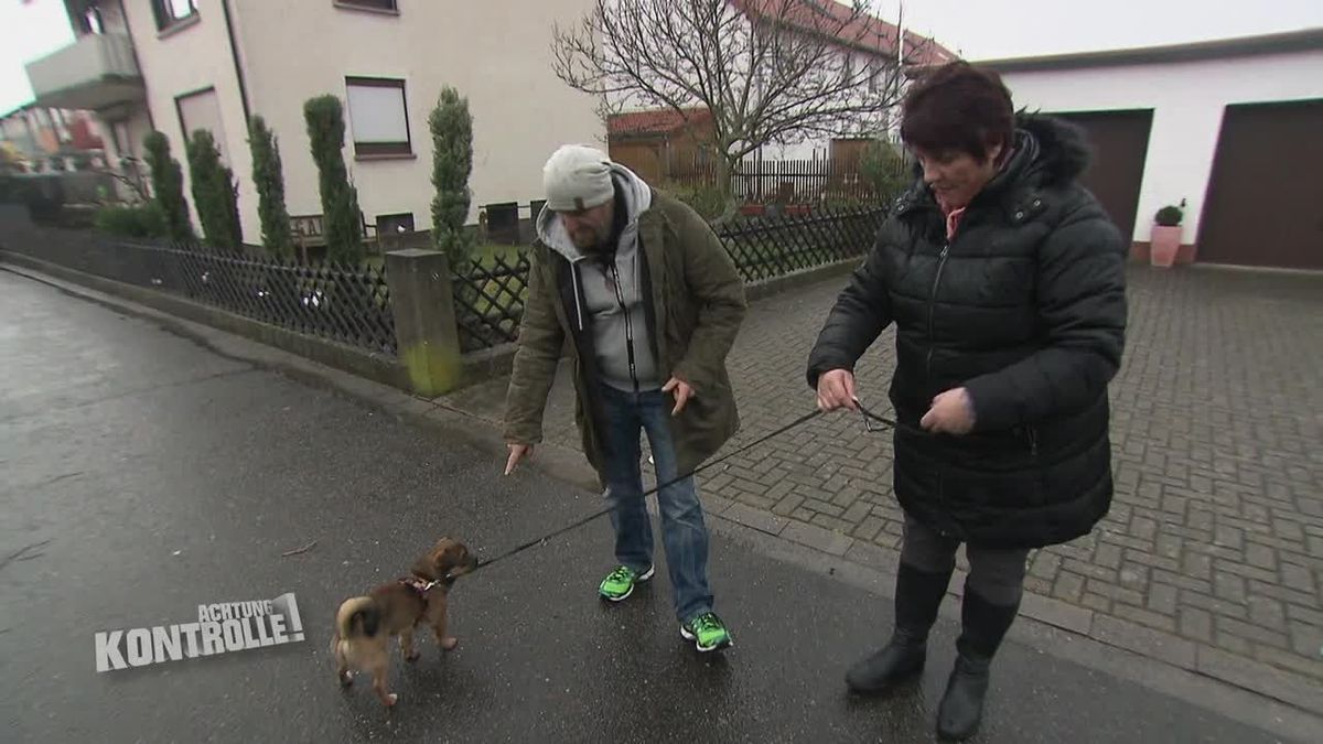 Achtung Kontrolle! Einsatz für die Ordnungshüter