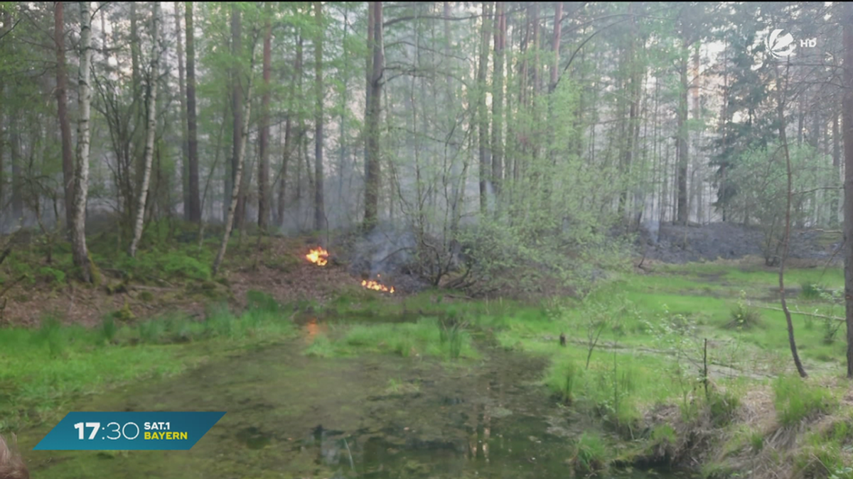 Nach Waldbrand in Erlangen: Polizei ermittelt wegen Brandstiftung