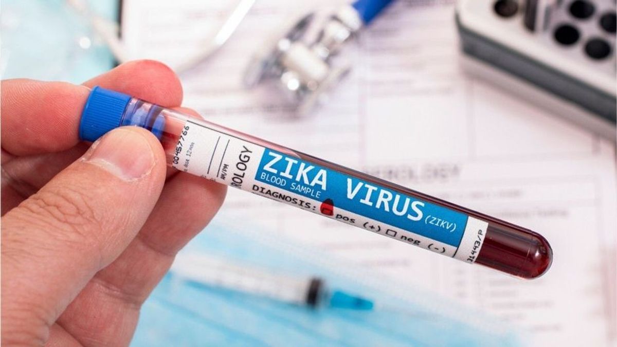 Zika-Virus: Forscher warnen vor gefährlicher Mutation