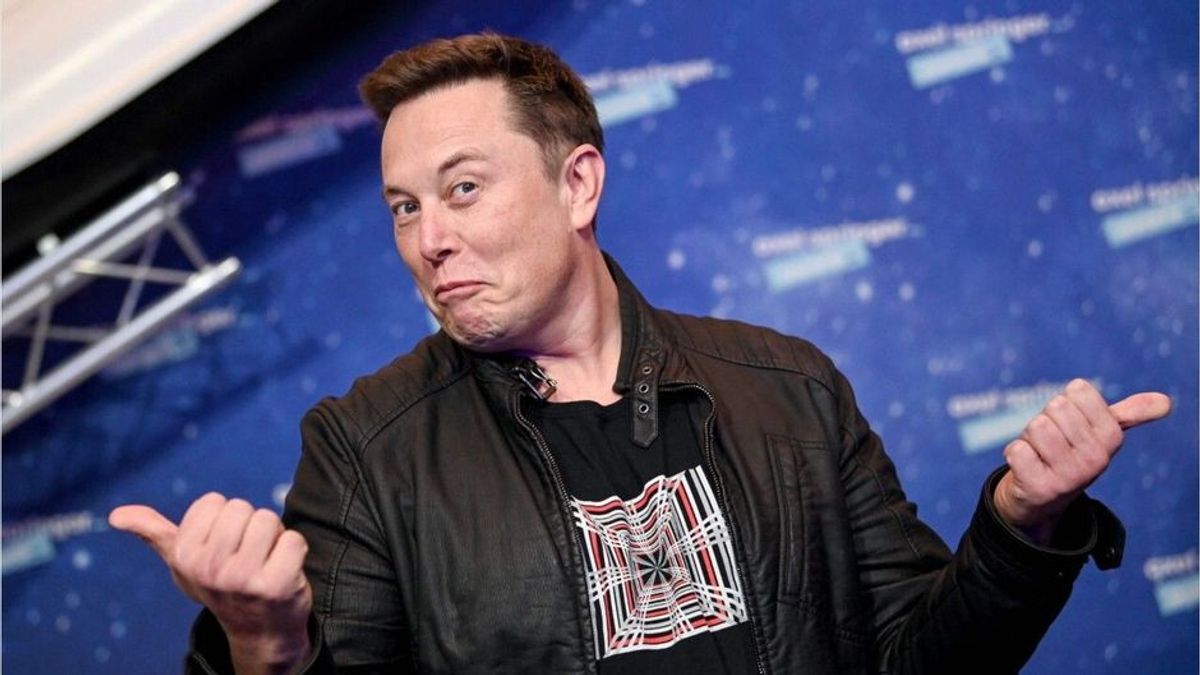 Twitter bald kostenpflichtig? Nach Übergabe: Elon Musk erwägt Gebühren für diese User