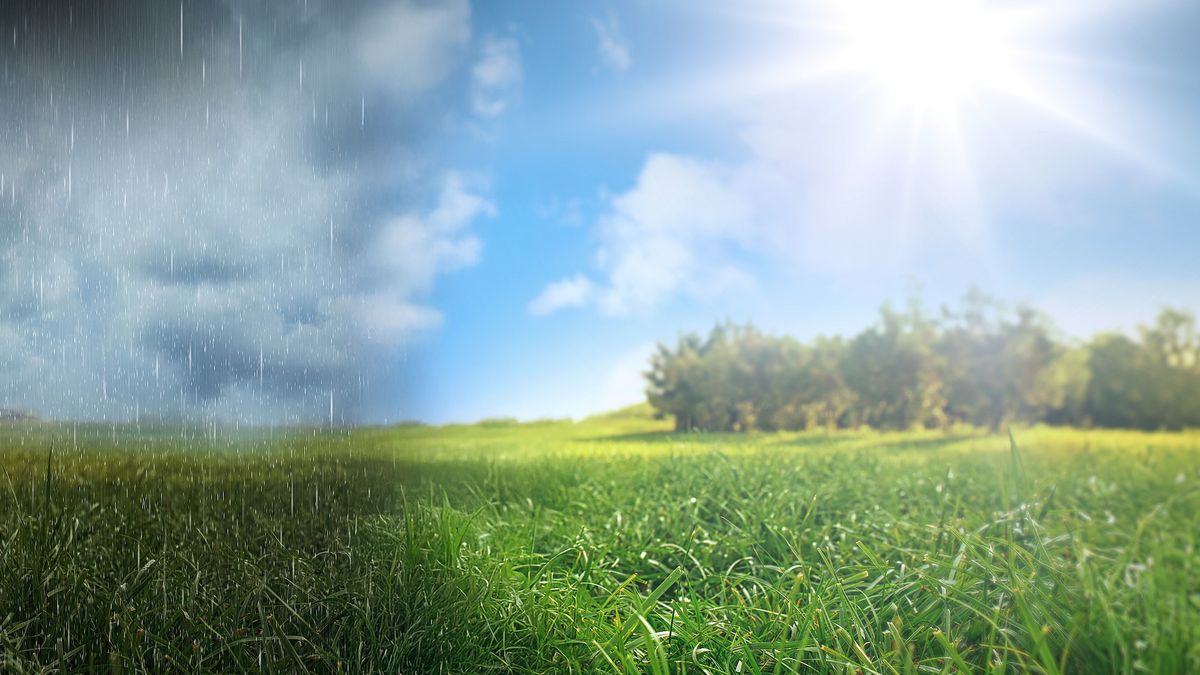 Schimpfen ohne Anlass? Eine Sommerbilanz