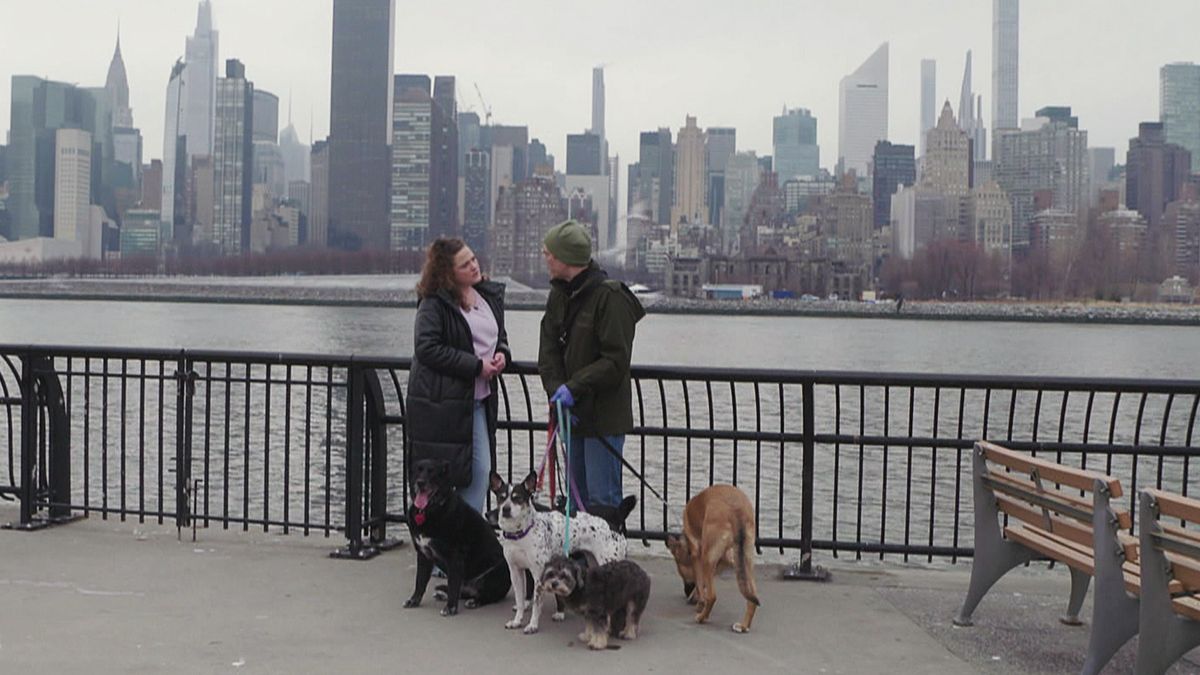 Big Business im Big Apple: Professioneller Dog-Walker