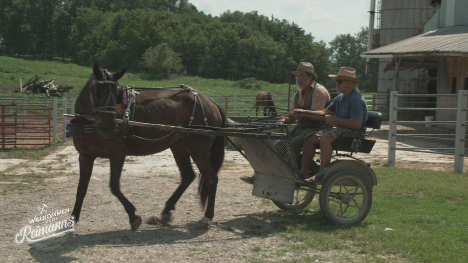 Ein Leben ohne Akkuschrauber? Die Reimanns bei den Amish