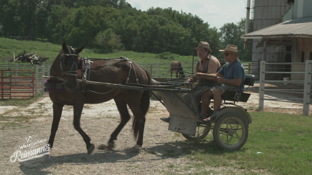 Ein Leben ohne Akkuschrauber? Die Reimanns bei den Amish