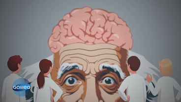 Raub geistigen Eigentums: Der Diebstahl von Albert Einsteins Gehirn