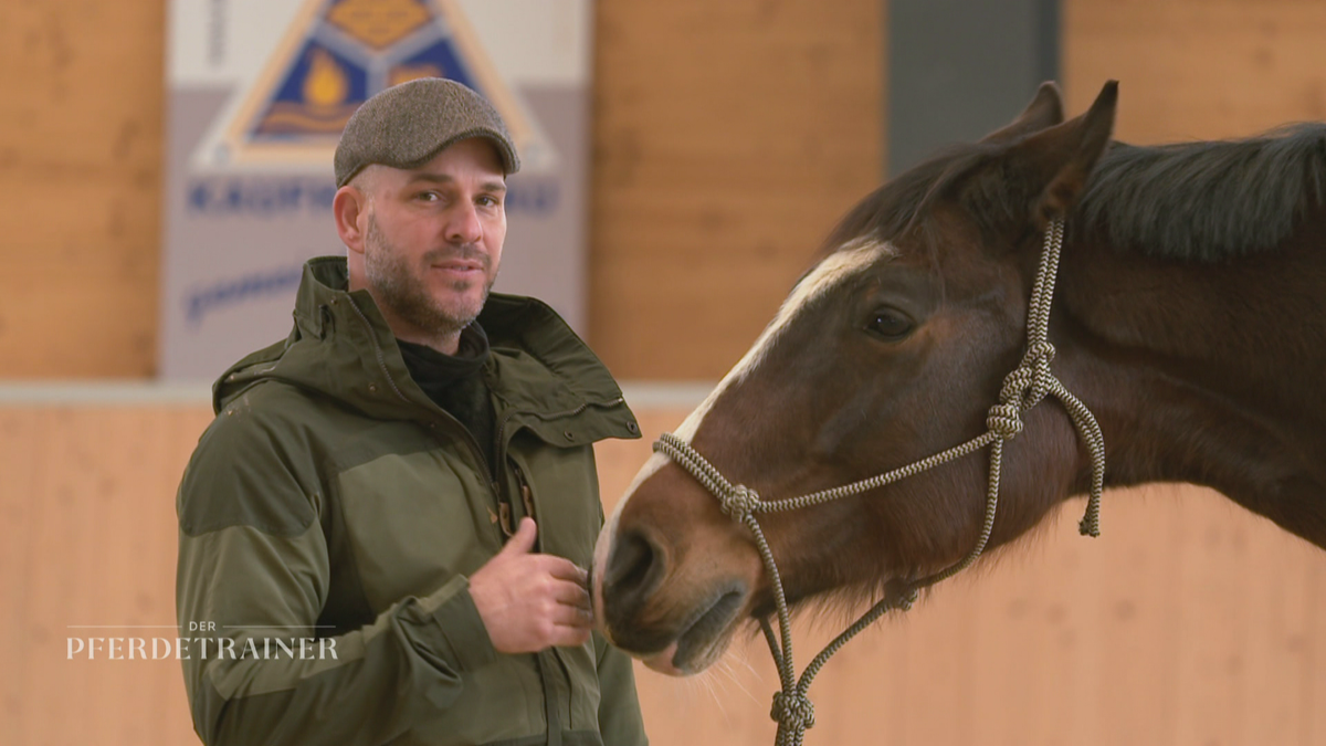 Ängstliches Pferd: Reiztraining mit Raphael Dysli 