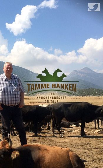 Tamme Hanken  Image