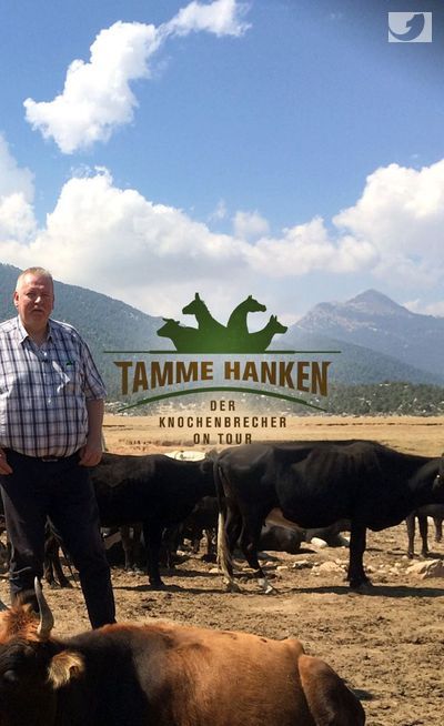 Tamme Hanken Image