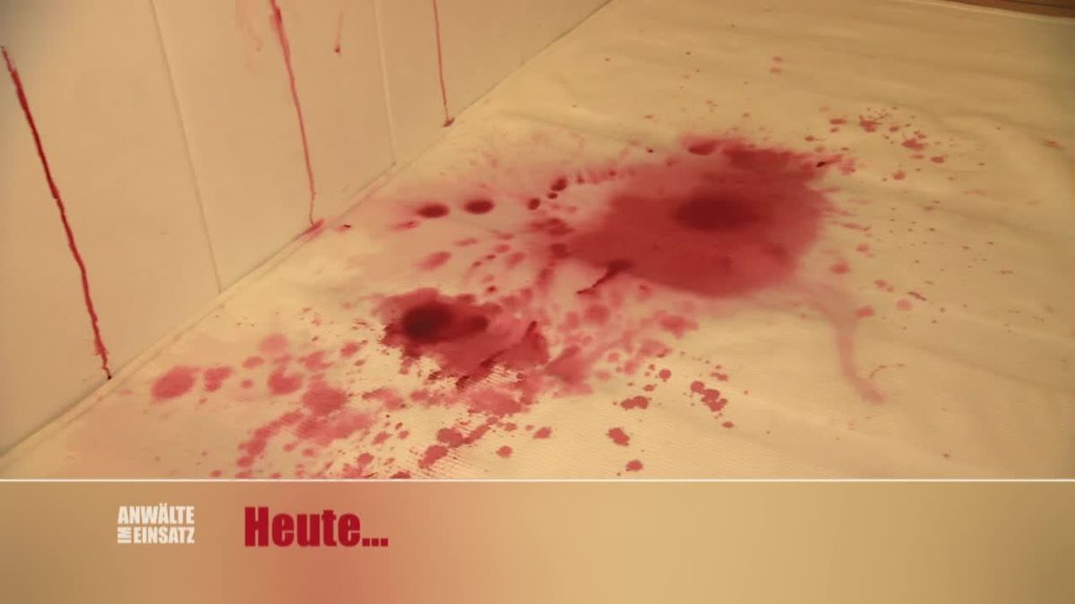 Anwälte im Einsatz