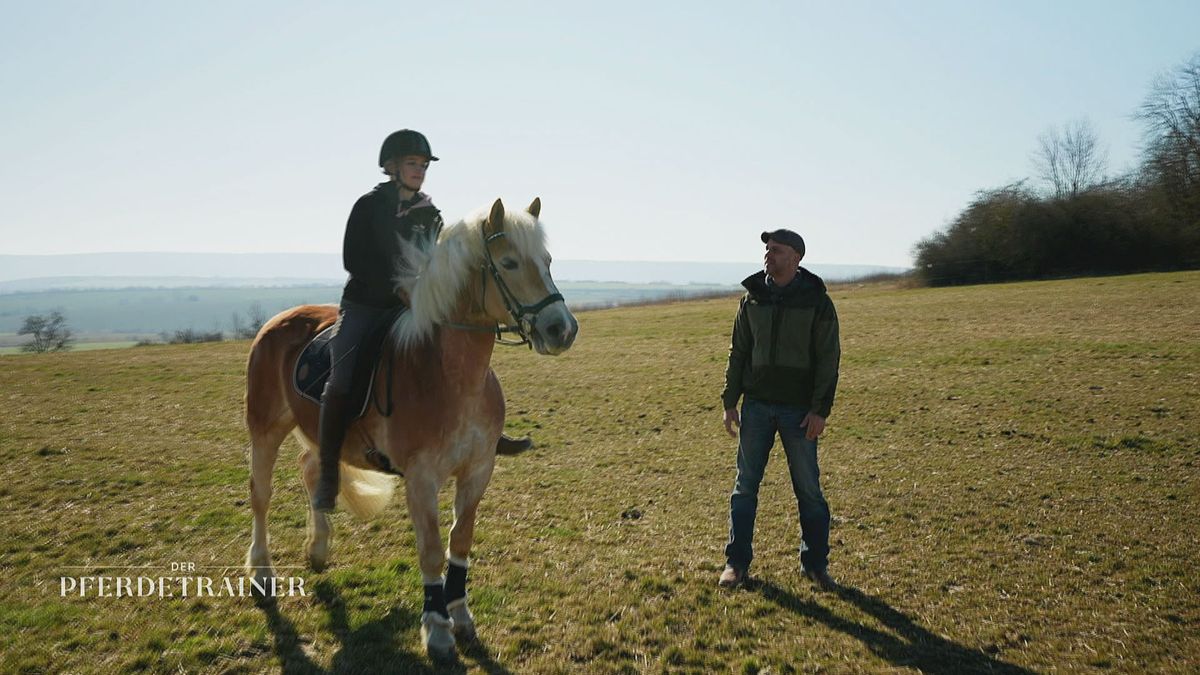 Reiten ohne Buckeln in allen Gangarten 