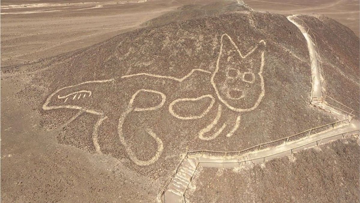 Peru: 37 Meter große in Stein gemeißelte Katze entdeckt