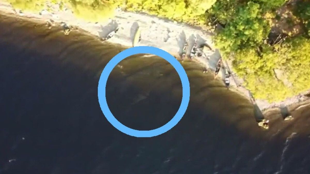 Mysteriöse Schatten im Wasser gefilmt: Ist es das Monster von Loch Ness?