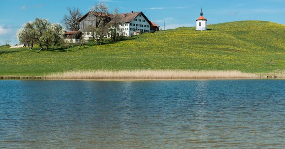 So gefährlich sind Badeseen wirklich