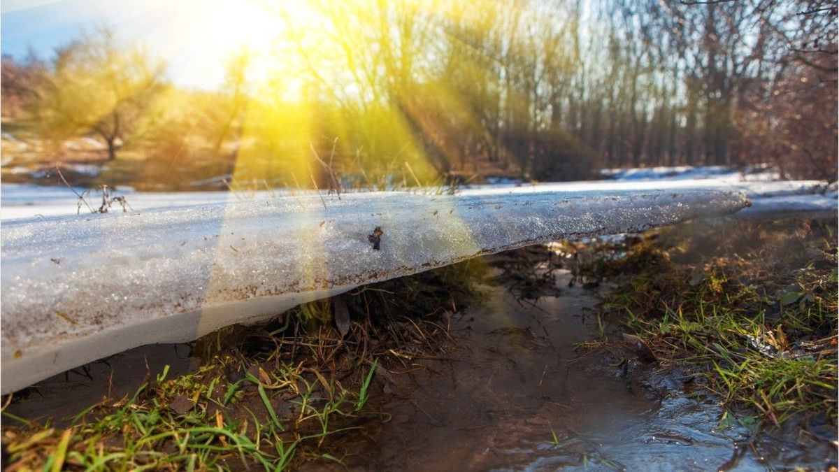 "Hitzewelle" im Februar: Am Wochenende bis 15 Grad und viel Sonnenschein